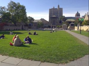 Imagen del campus de Yale, edificios con césped