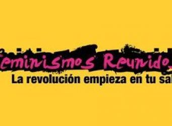 Logo del proyecto Feminismos Reunidos