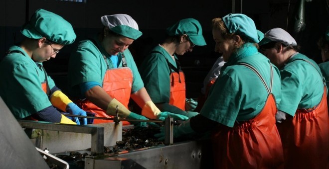 imagen de un grupo de mujeres trabajando con mejillones