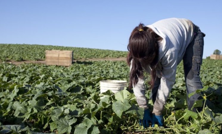 imagen de una agricultora trabajando