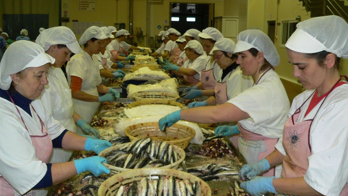 mujeres trabajando con pescado