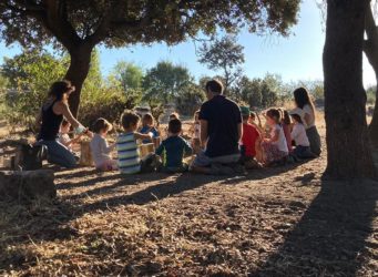 un grupo de niños y niñas con sus profesores bajo un árbol