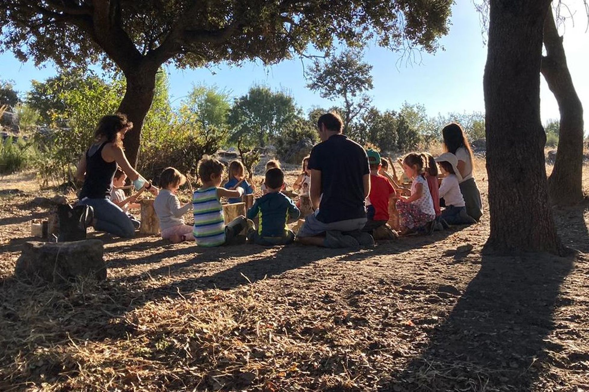 un grupo de niños y niñas con sus profesores bajo un árbol