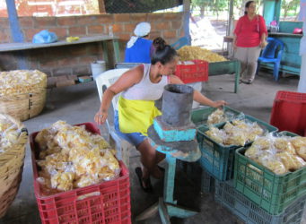 Imagen de una joven empaquetando patatas fritas