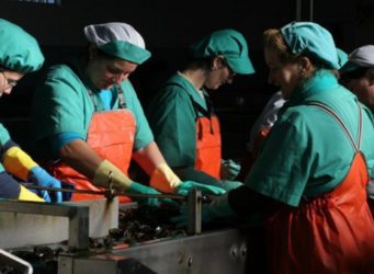 imagen de un grupo de mujeres trabajando en una fábrica