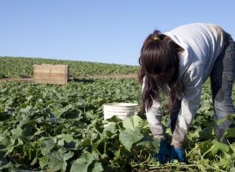 imagen de una agricultora trabajando