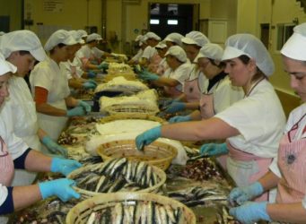 mujeres trabajando con pescado